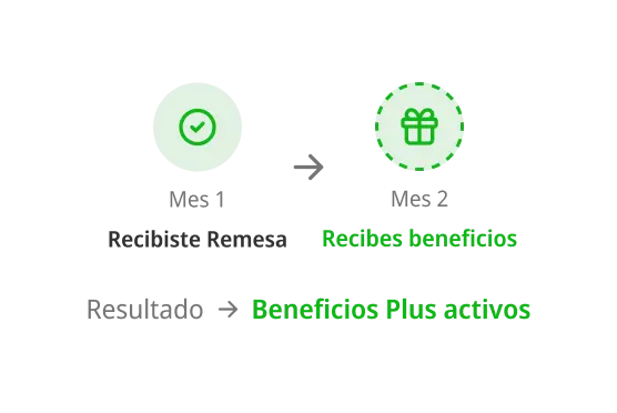 MULTIPLICA PLUS